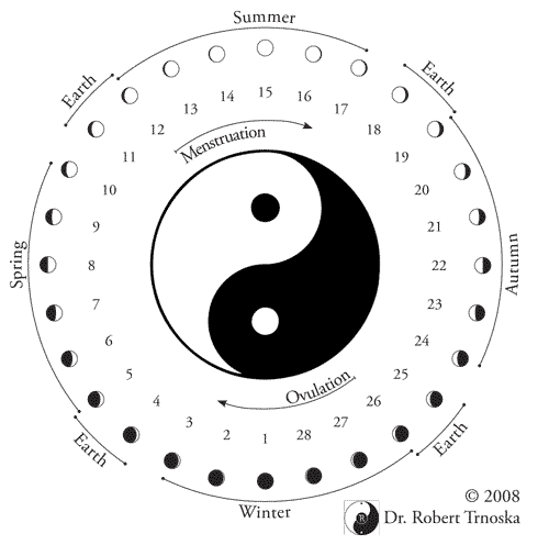 Bazidisc